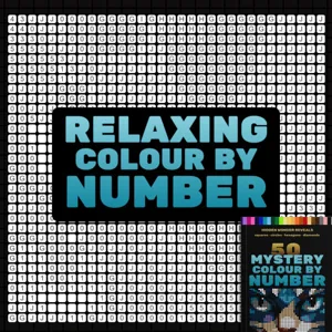 Livre de coloriage par numéros pour adultes avec grilles mystères et images cachées.