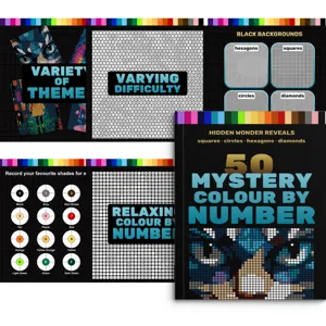 Livre de Coloriage Numérique pour Adultes Révélation d'Image Cachée Couleur Mystère par Numéro Broché Soulagement du Stress