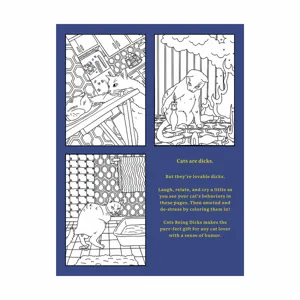 Detail view of funny cat coloring book back cover featuring humorous illustrations and text.