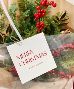 Carte de vœux de Noël décoration de bouquet accessoire photo avec baies rouges et pin détail