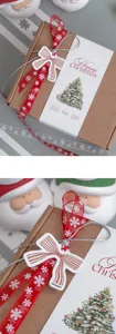 Set confezione regalo di Natale con nastro in chiffon a fiocco di neve e custodia di carta decorativa.