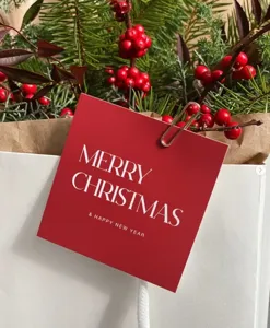 Gros plan détail d'une carte de vœux de Noël rouge avec des branches de pin et des baies.