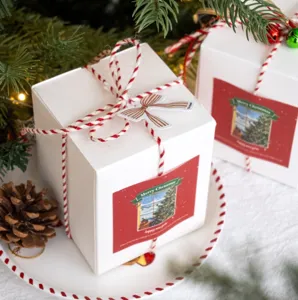 Weihnachten rot-weiße Kordel und Geschenkbox für DIY Feiertagsverpackung rustikaler.