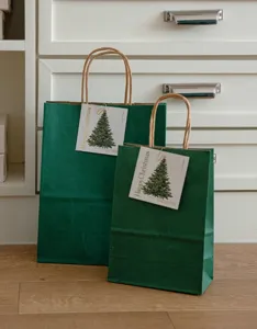 Dettaglio borsa regalo in carta kraft verde con etichetta di albero di Natale e manico.