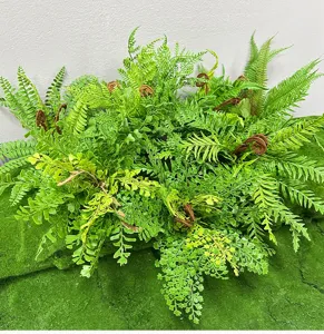 Artificial fern plant wall detail, lush greenery backdrop for home decor and floral arrangements.