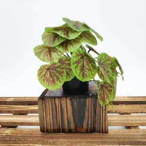 Gros plan d'une plante de begonia artificielle avec des feuilles vertes dans un pot.