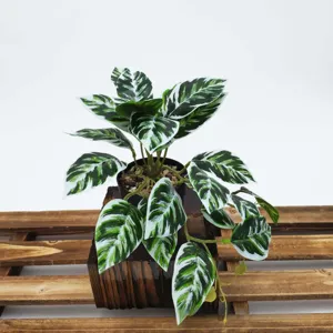 Vue détaillée d'une plante en pot artificielle avec des feuilles panachées pour la décoration.