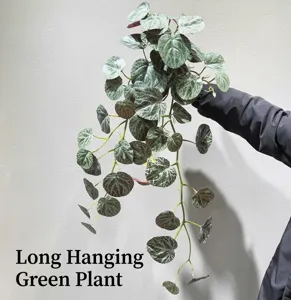 Artificial hanging green plant vine with variegated leaves for indoor home decor and wall display.