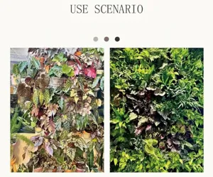 Detailed view of artificial green plant wall decoration for home interior landscape design.