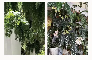 Artificial green plant hanging wall detail view, micro landscape decor faux foliage props.