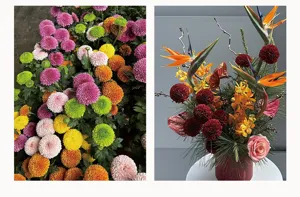 Artificial chrysanthemum ping pong flower heads and floral arrangement decor for home.