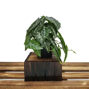 Vue détaillée de plante verte artificielle, mini ornement en pot pour décoration de bureau.