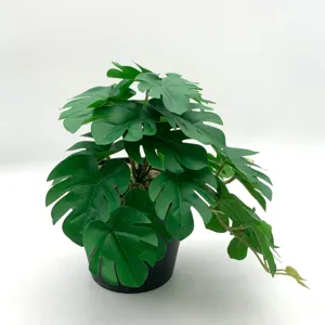 Vue détaillée de monstera artificielle, gros plan sur feuille fausse plante, déco.