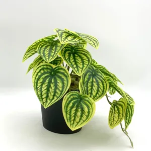 Gros plan de la plante en pot artificielle avec des feuilles en forme de cœur vert et jaune.