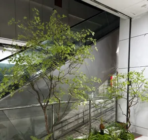 Bonsaï d'érable artificiel plante d'intérieur décoration verte pour vitrine paysage micro