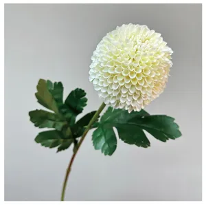 Detailed shot of white artificial pompon chrysanthemum flower head with green leaves.