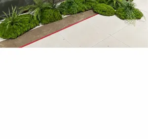 Vue de détail de tapis de mousse artificielle et de plante verte, décor paysager.
