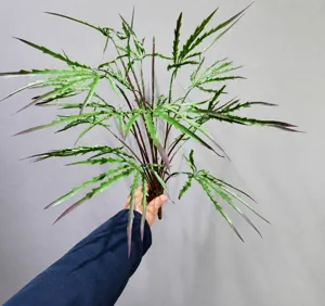Plante artificielle en bois de paon branche de feuille décoration intérieure de vitrine