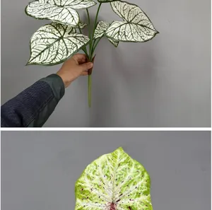 Vue détaillée de feuille de caladium artificielle, texture réaliste pour la décoration.