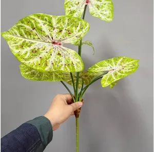 Détail de feuille de caladium artificielle, feuillage vert réaliste avec nervures rouges, jungle.