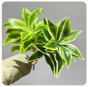 Artificial dracaena plant branch detail for indoor home decor, realistic green leaves foliage.