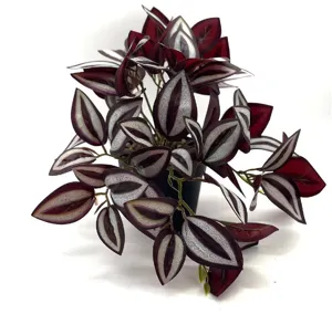Close-up detail of artificial plant leaves with striking red and silver watermelon leaf pattern.