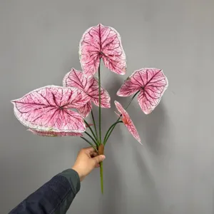 Fausse plante a feuilles de caladium rose pour amenagement paysager de foret tropicale