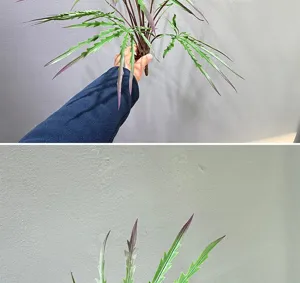 Branche de plante artificielle avec feuilles vertes et violettes pour deco interieure.