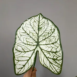 Feuille de Caladium Artificielle Plante Verte pour Décoration Florale Intérieure