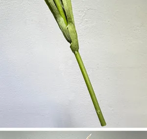 Artificial spider lily stem detail closeup, green silk flower part for floral arrangement decor.