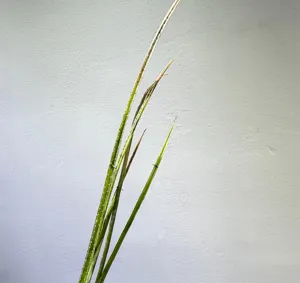 Artificial flower leaves green slim plant stems for home decor wedding photography details