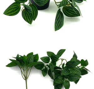 Artificial watermelon peperomia leaf vine detail, realistic green plant wall hanging decor for indoor.