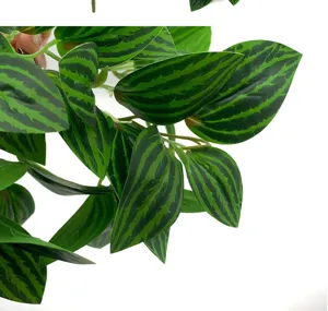 Artificial watermelon peperomia vine leaf plant wall hanging home indoor decor detail