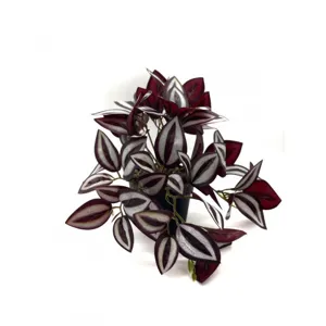 Artificial wandering jew potted plant with purple silver leaves for home indoor decor.