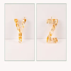 Resin shell letter Y and Z DIY charm pendant detail, perfect for custom keychain and bag decor.