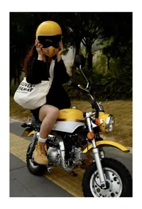 Retro Segeltuch Reit-Shopper Tasche Detailansicht, Textur und Druck der großen Umhängetasche.