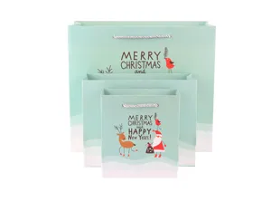 Kerstcadeau papieren tas set, groene feestelijke verpakking met handvatten voor appels en cadeaus.