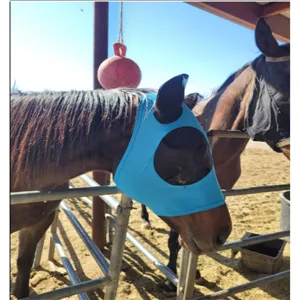 Detail view of a bright blue horse fly mask worn by a horse outdoors, protecting against insects.