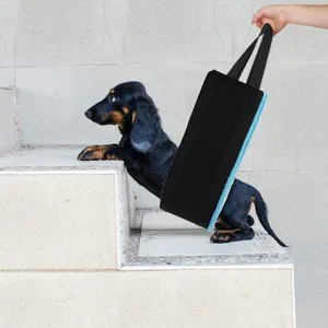 Dog lifting harness detail showing support sling in use on stairs for pet mobility aid.