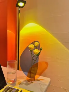 Acrylic vase geometric floral container home decor transparent modern aesthetic ornament