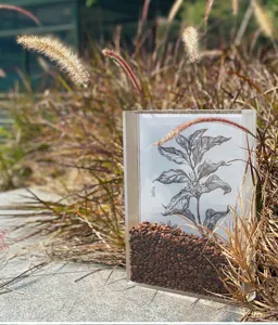 Transparante acryl 3D schaduwdoos lijst holle fotolijst voor gedroogde bloemen en ambachten.