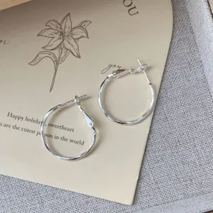 S925 Sterling Silver Sparking Plain Hoop Earrings Japanese Light Luxury Minimalist Jewelry