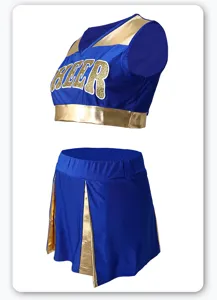 Blue and gold cheerleading uniform set detail showing crop top and pleated skirt style.
