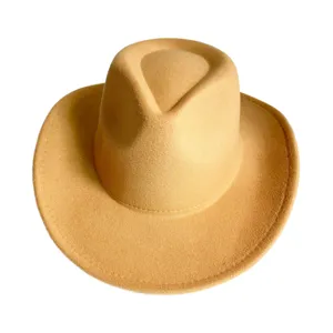 Classic wool fedora hat, retro western cowboy style, elegant autumn winter fashion headwear.