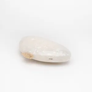 Elegant white acrylic shell clutch bag detail, perfect fashion evening party accessory.