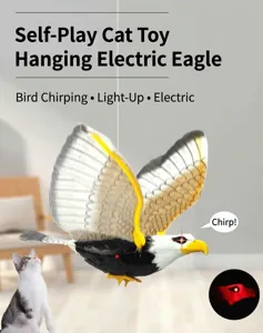 Hängender elektrischer fliegender Vogel Katzenspielzeug interaktiver Adler Kätzchen