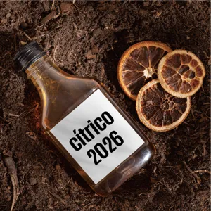 Vista detallada de una botella de vidrio con líquido ámbar sobre tierra con rodajas de naranja.