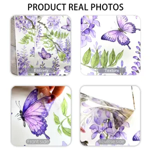 Détail d'adhésif mural glycine et papillon, décoration transparente autocollante