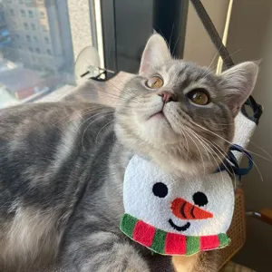 Simpatico bavaglino natalizio a forma di pupazzo di neve per gatti e cani, morbido peluche.