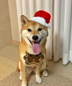 Carino bavaglino natalizio per animali con ricamo omino di pan di zenzero, bandana morbida.